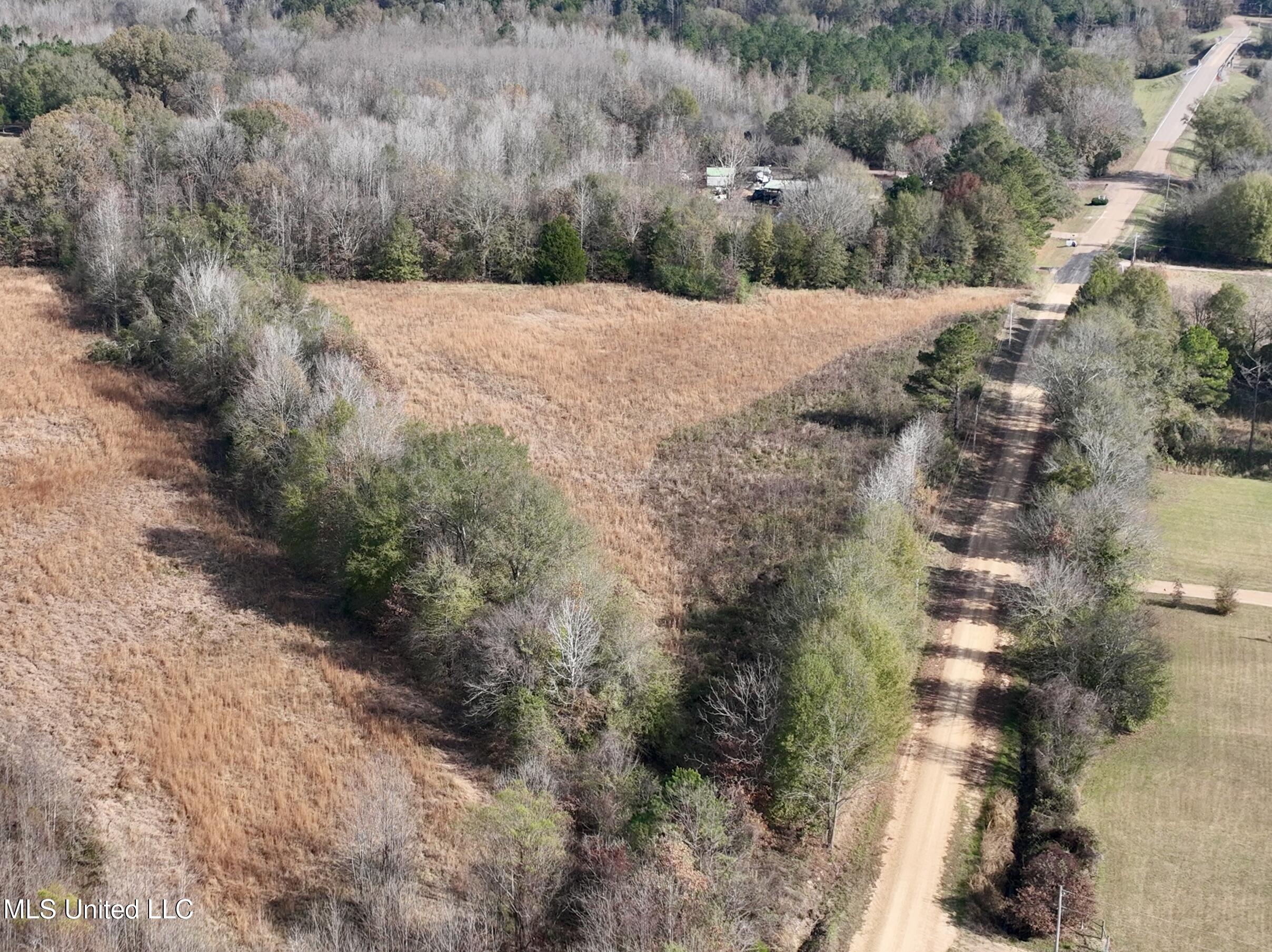0 Pisgah Bottom Road Canton, MS 39046 - Photo 20 of 21 799E9A2E-EBD3-4D93-8FC8-16A47C787B35_1_2