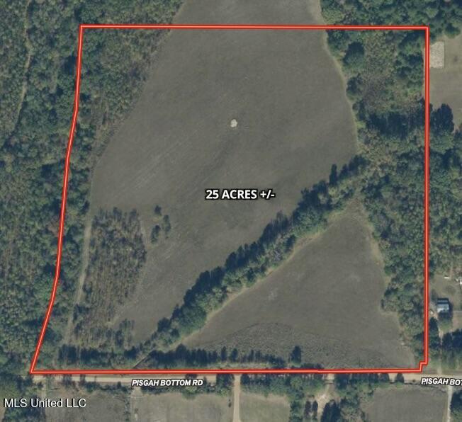 0 Pisgah Bottom Road Canton, MS 39046 - Photo 21 of 21 AEB4F557-1B13-4547-AFC6-DEA6A414B5D7_1_2