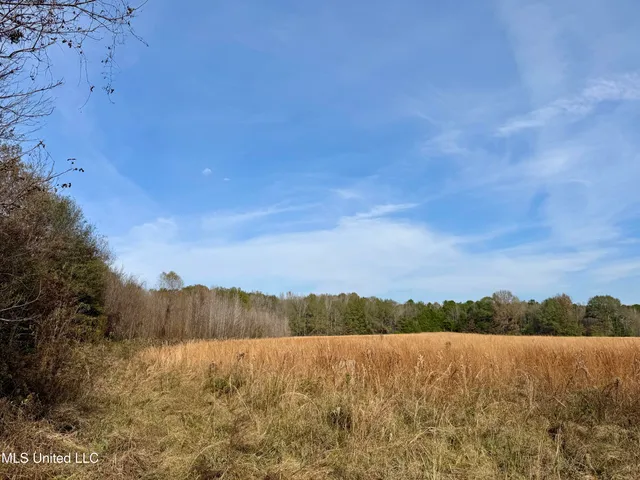 $212,500 | 0 Pisgah Bottom Road, Canton, MS 39046