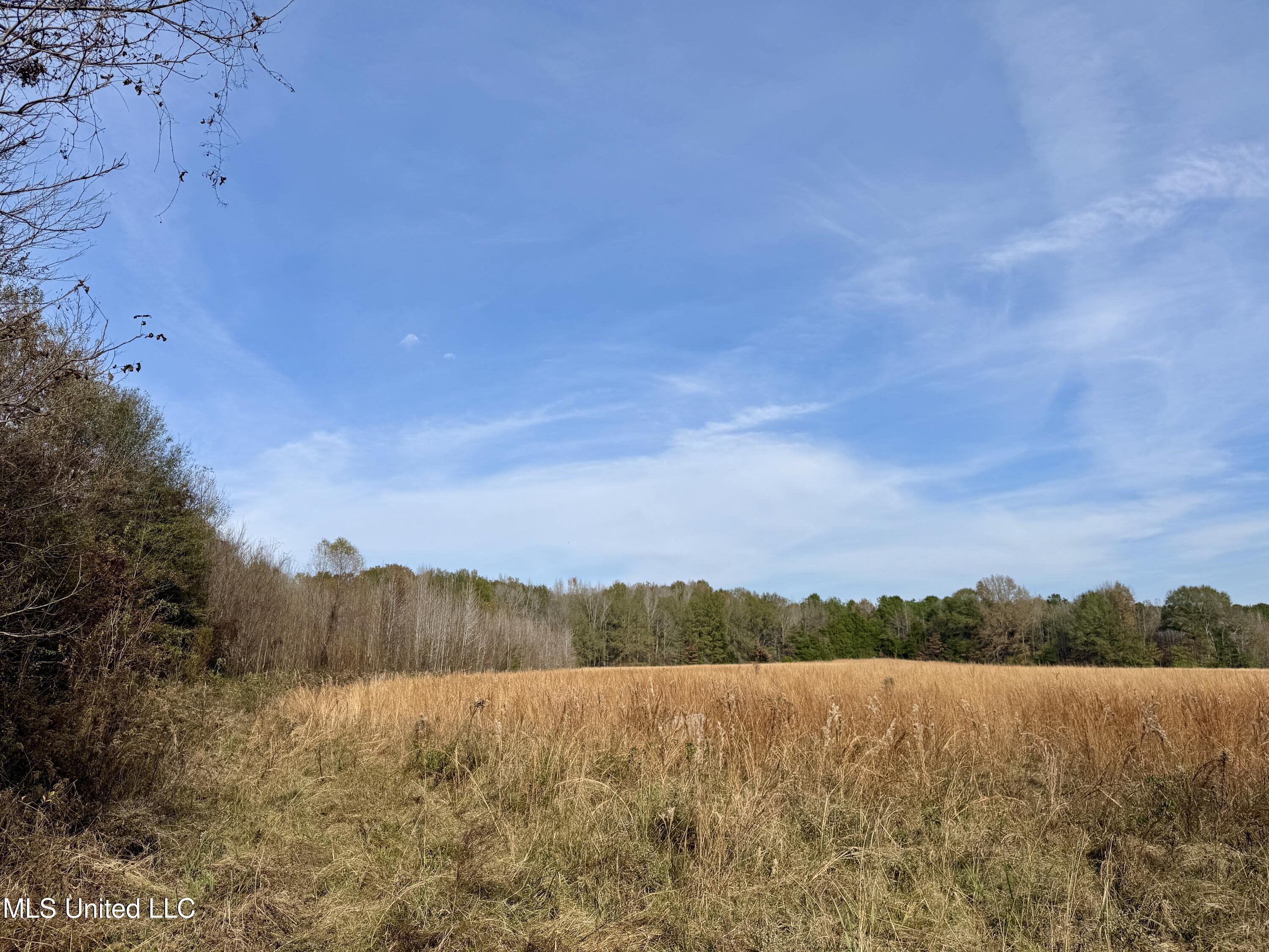0 Pisgah Bottom Road Canton, MS 39046 - Photo 3 of 21 4900F5C4-A27E-4724-A315-F3E10472887C_1_2