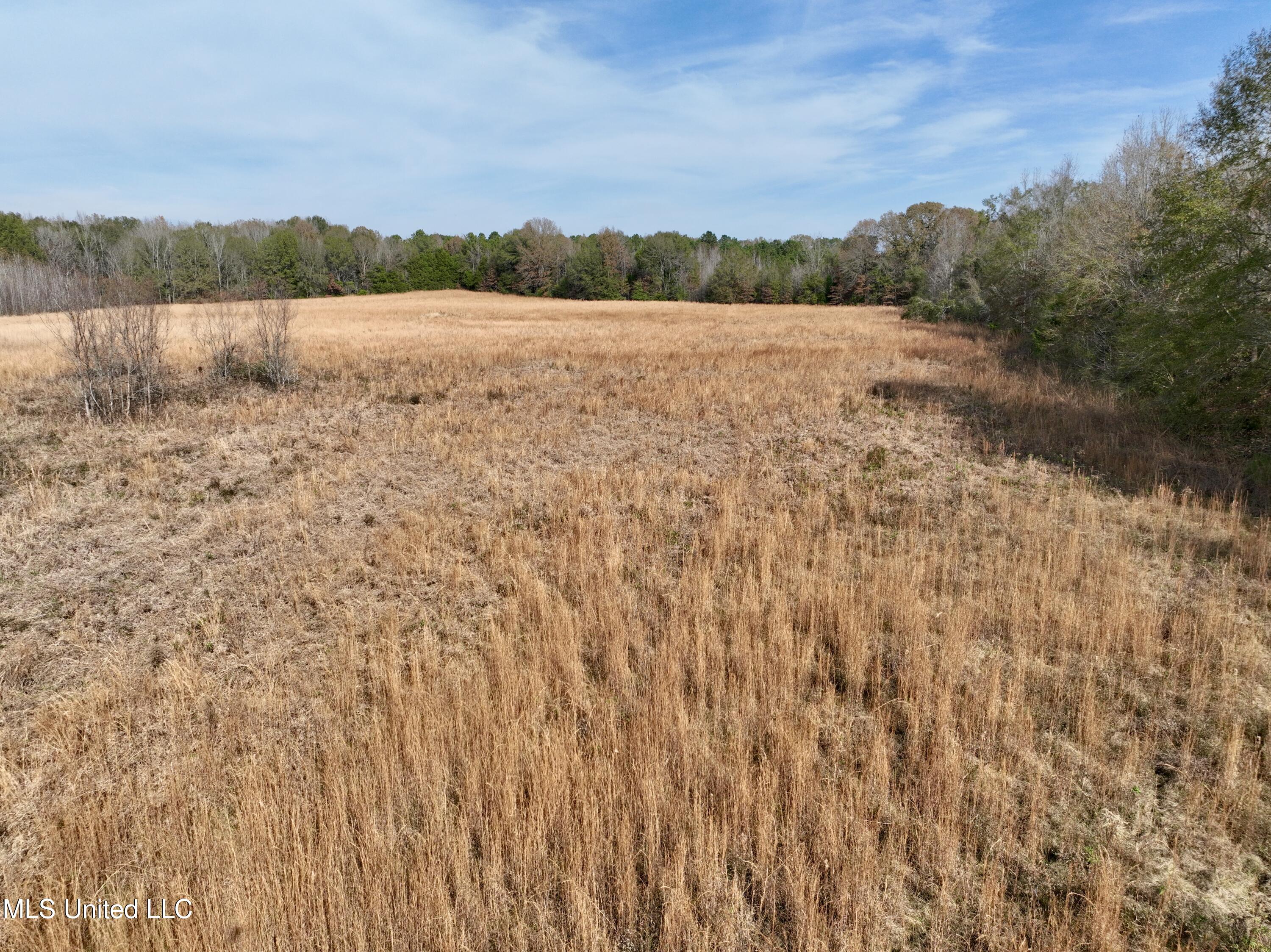 0 Pisgah Bottom Road Canton, MS 39046 - Photo 5 of 21 E189B0F6-ABD9-4A3D-B1EC-892499C66893_1_2