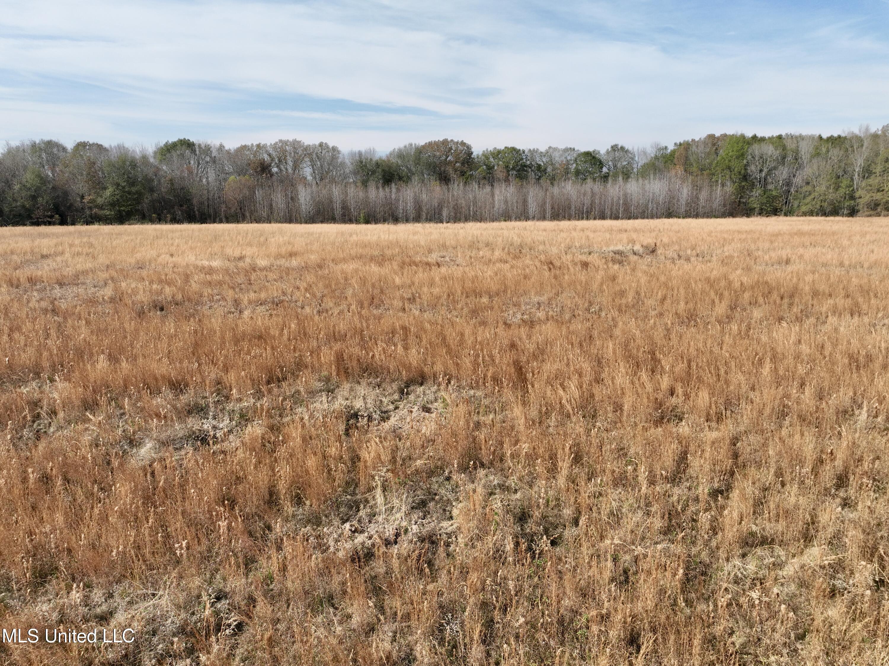0 Pisgah Bottom Road Canton, MS 39046 - Photo 6 of 21 12CF999C-D95B-43C7-B411-C56A8016FE33_1_2