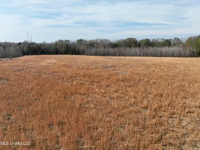 $212,500 | 0 Pisgah Bottom Road, Canton, MS 39046