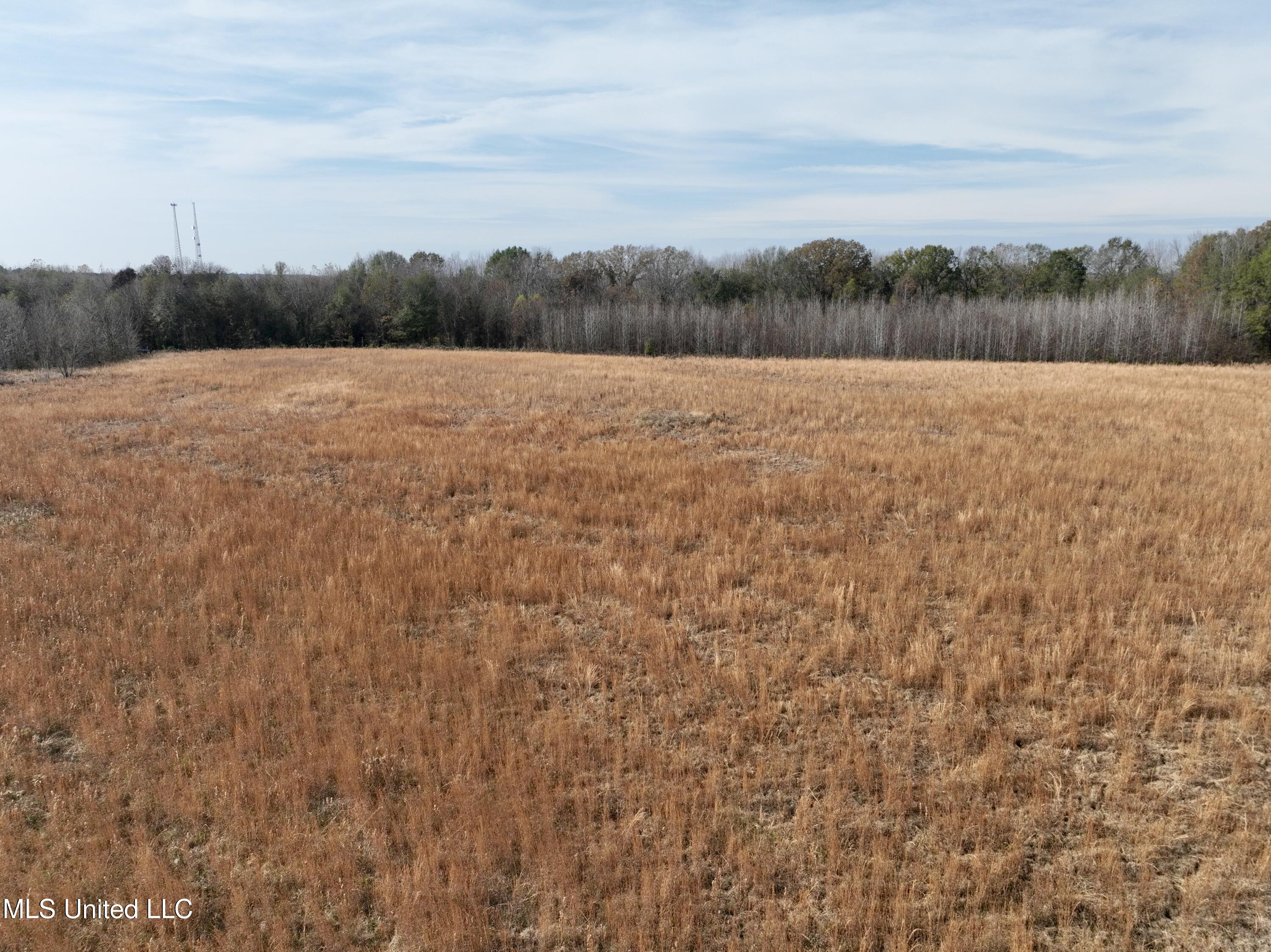 0 Pisgah Bottom Road Canton, MS 39046 - Photo 8 of 21 FBD4DD38-AC45-4CB3-9DAF-FC06FC5C6D54_1_2