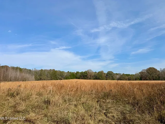 $212,500 | 0 Pisgah Bottom Road, Canton, MS 39046