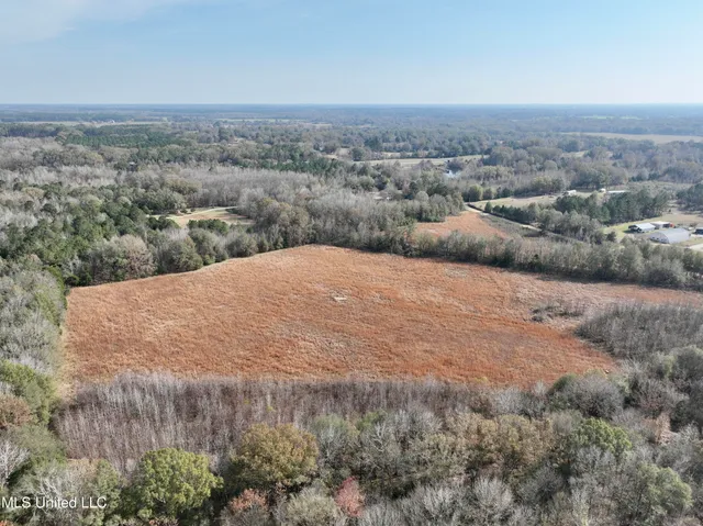 $212,500 | 0 Pisgah Bottom Road, Canton, MS 39046