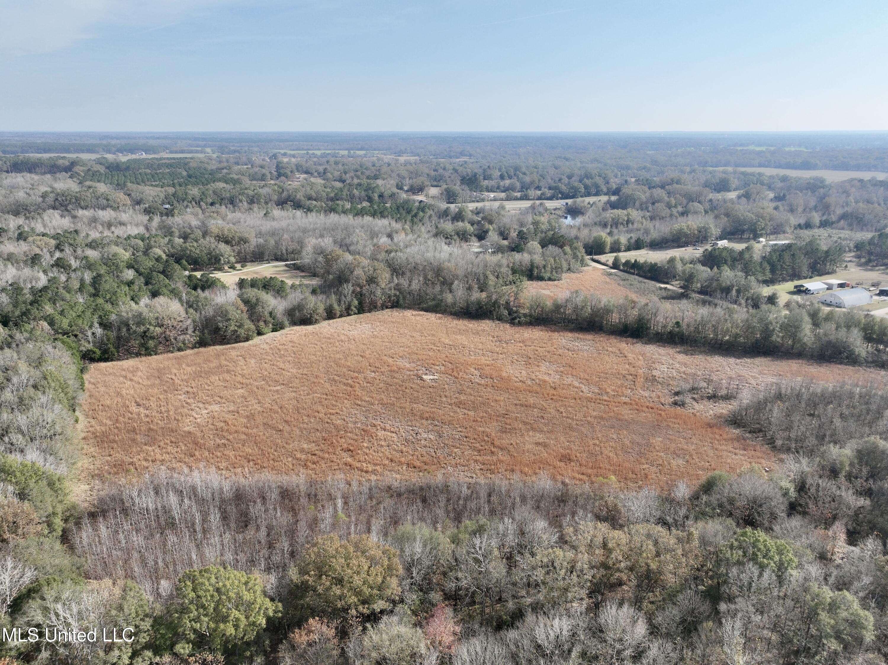 0 Pisgah Bottom Road Canton, MS 39046 - Photo 10 of 21 8553D228-01C9-4CAE-BEBD-1E6BA14C9478_1_2