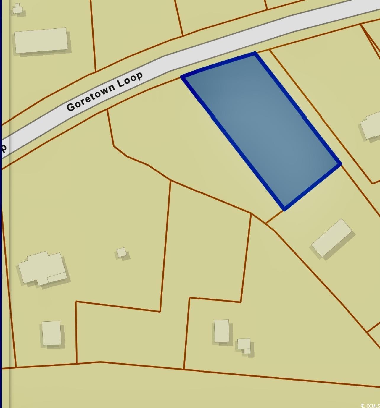 Lot 2 Goretown Loop Loris, SC 29569 - Photo 2 of 2 Map / location of property area