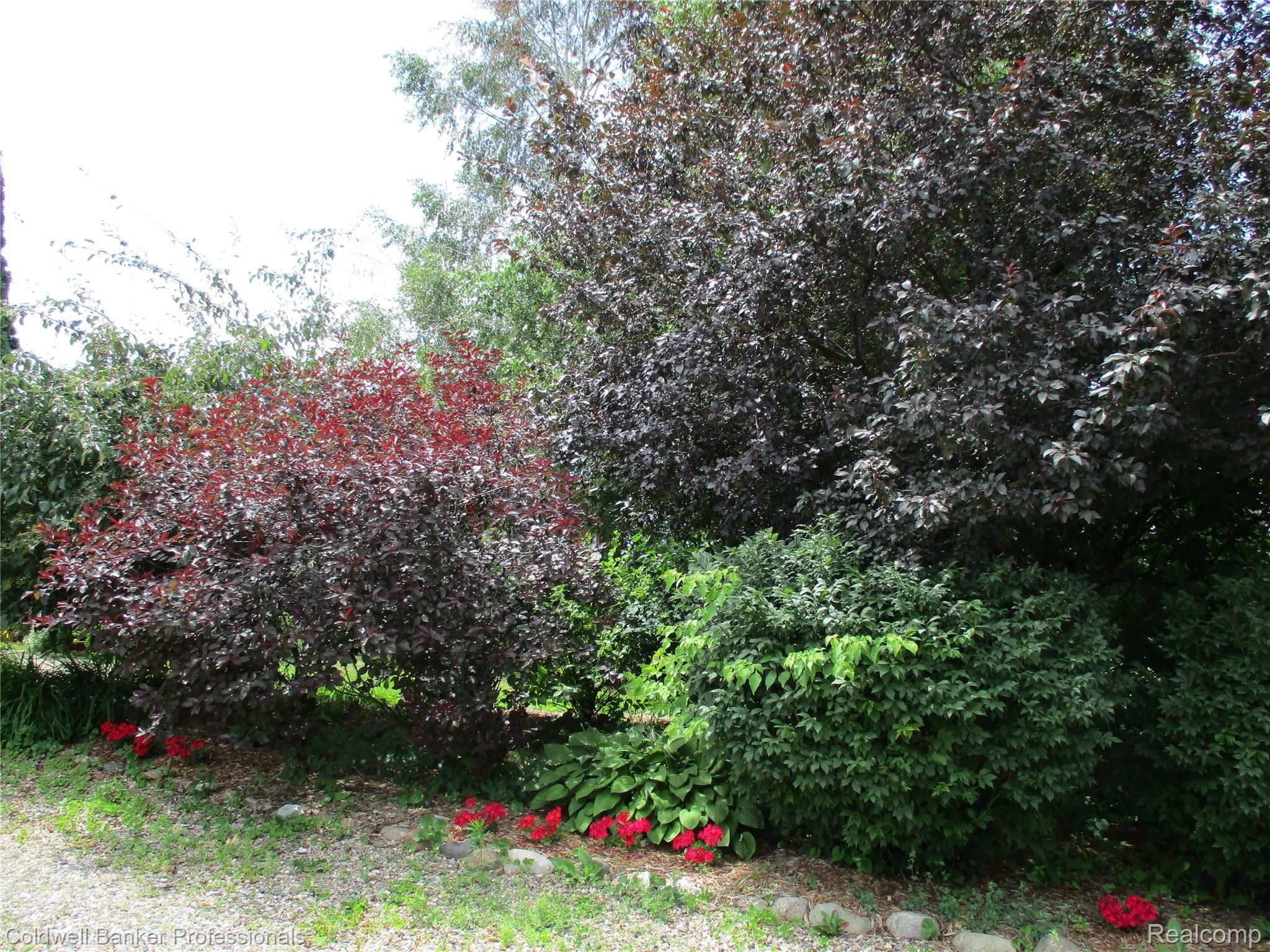 6514 Fish Lake Road North Branch, MI 48461 - Photo 31 of 39 IMG_0084.JPG