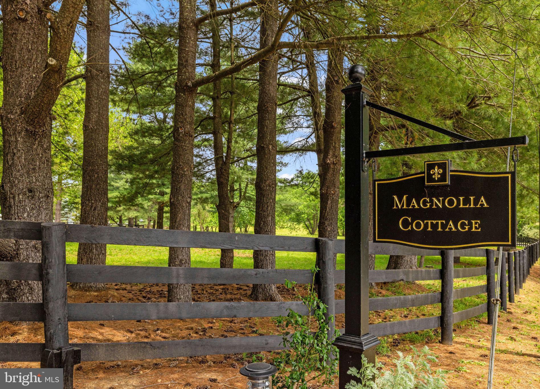 21185 St Louis Road Middleburg, VA 20117 - Photo 4 of 83