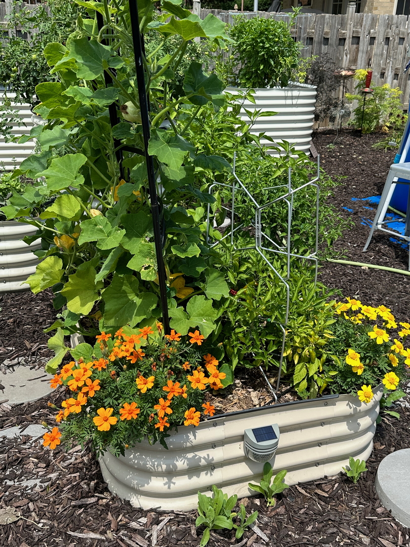 9604 South Hamilton Avenue Chicago, IL 60643 - Photo 35 of 42