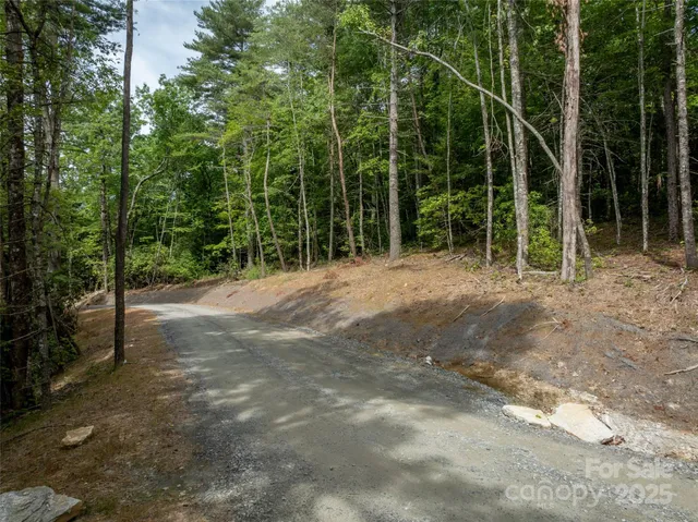 a view of outdoor space with lots of trees