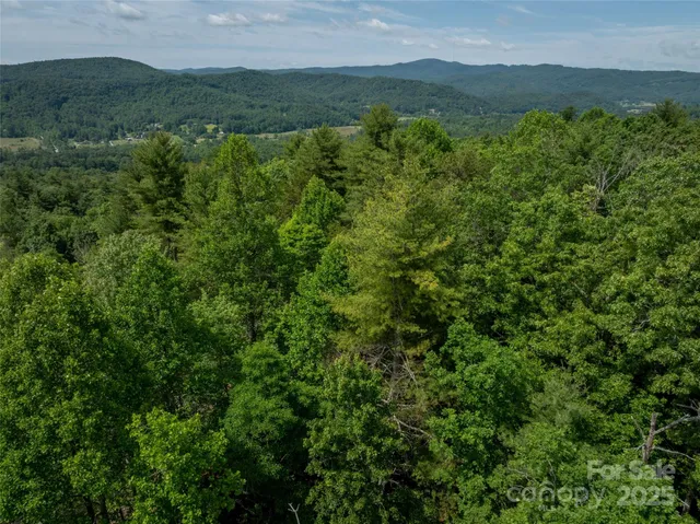 a view of a lush green forest with lush green forest