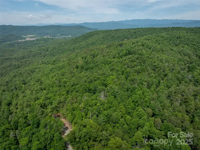 a view of a big yard with lots of green space