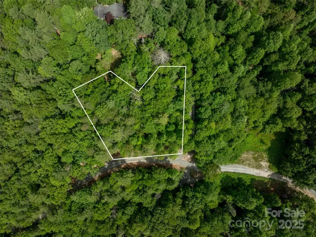 a view of a lush green forest with lots of trees