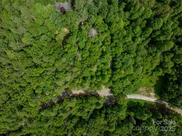 a view of a lush green forest with a building in background