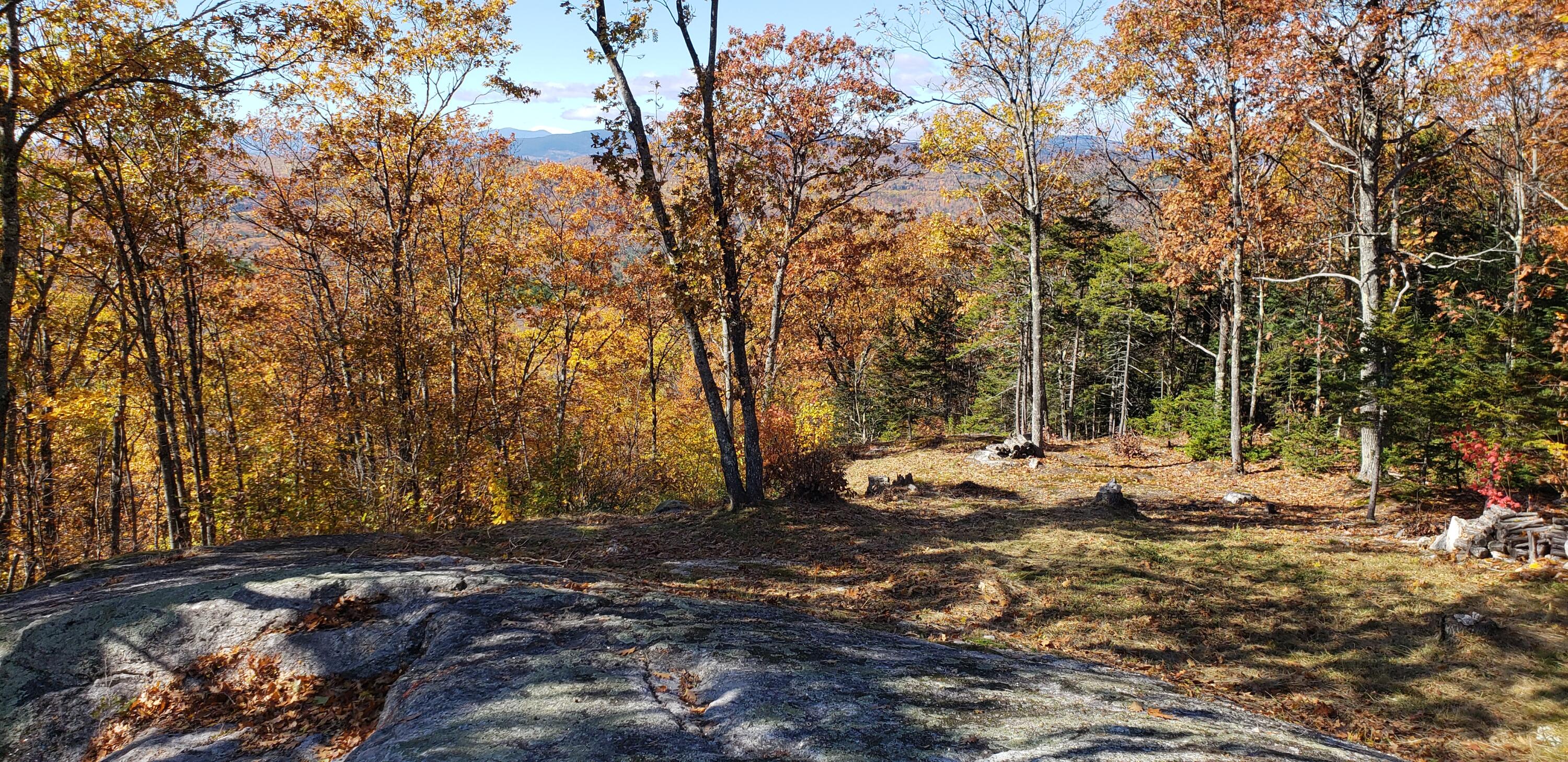 0 Daye Road Bethel, ME 04217 - Photo 39 of 44 Fall