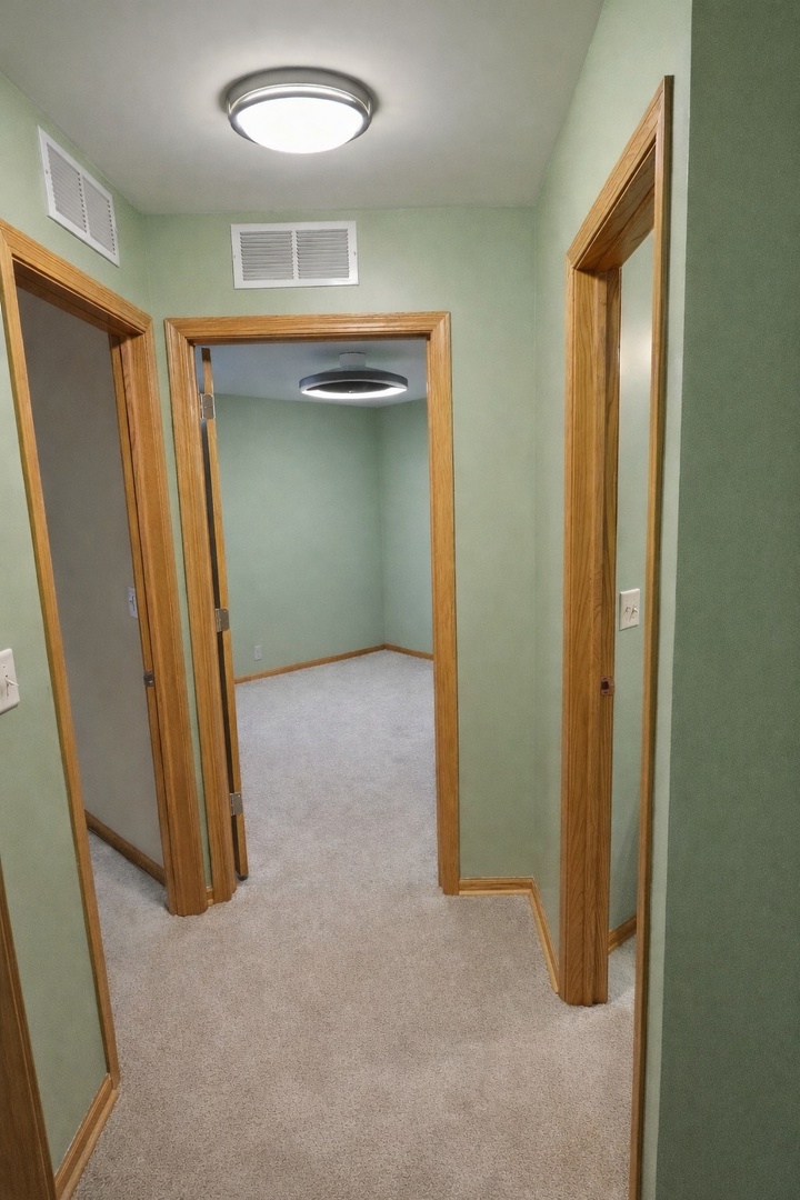 6212 Blue Ridge Drive Plainfield, IL 60586 - Photo 14 of 46