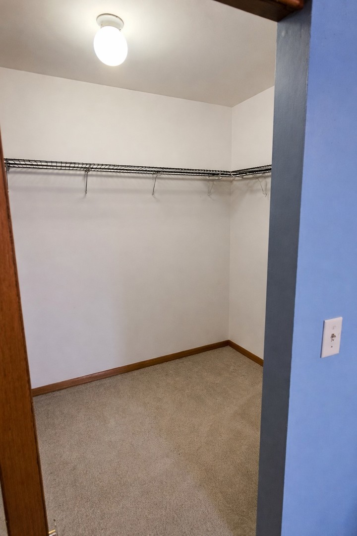 6212 Blue Ridge Drive Plainfield, IL 60586 - Photo 23 of 46