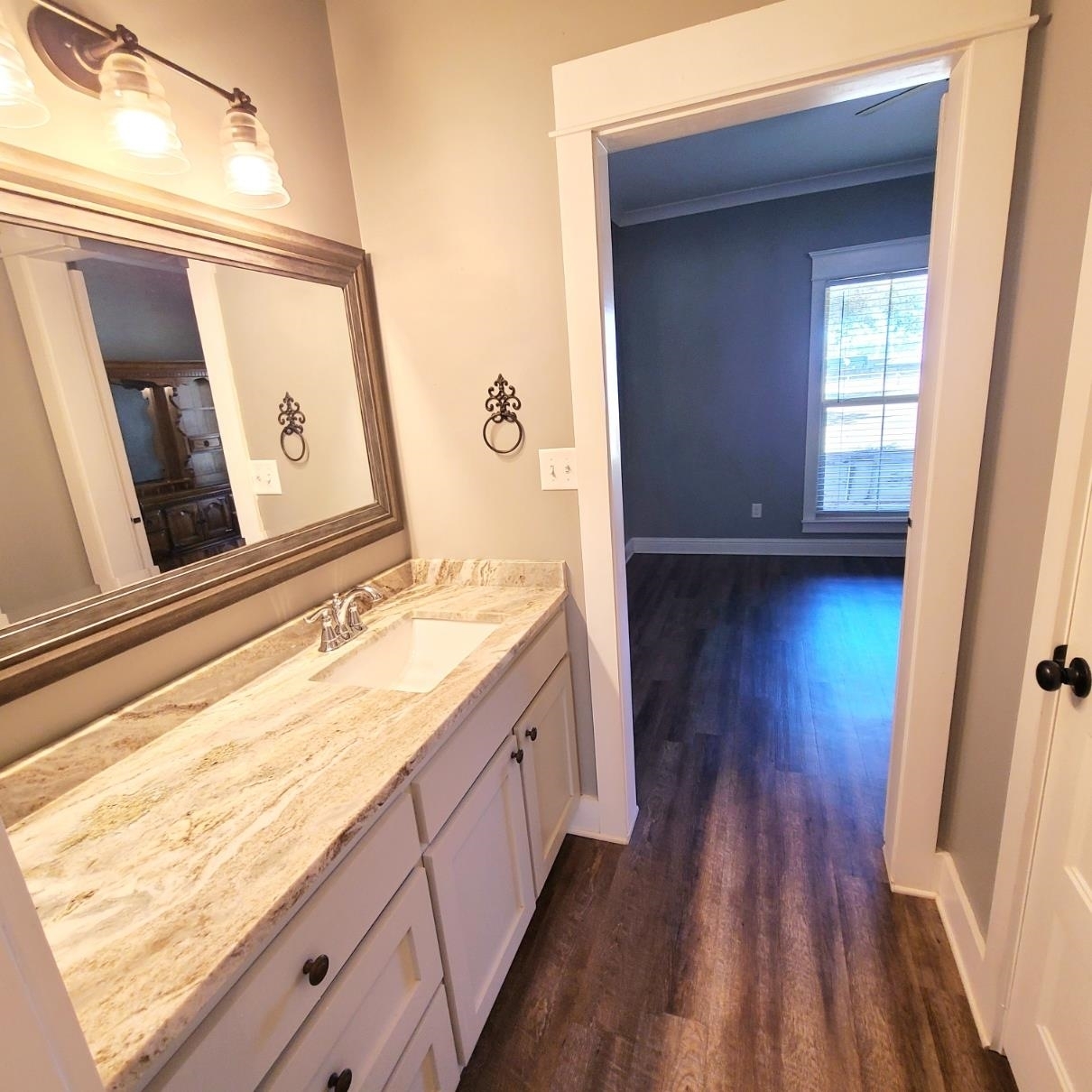 10051 Blackwell Nursery Road Semmes, AL 36575 - Photo 35 of 54 Bathroom with vanity, crown molding, and dark wood-style flooring