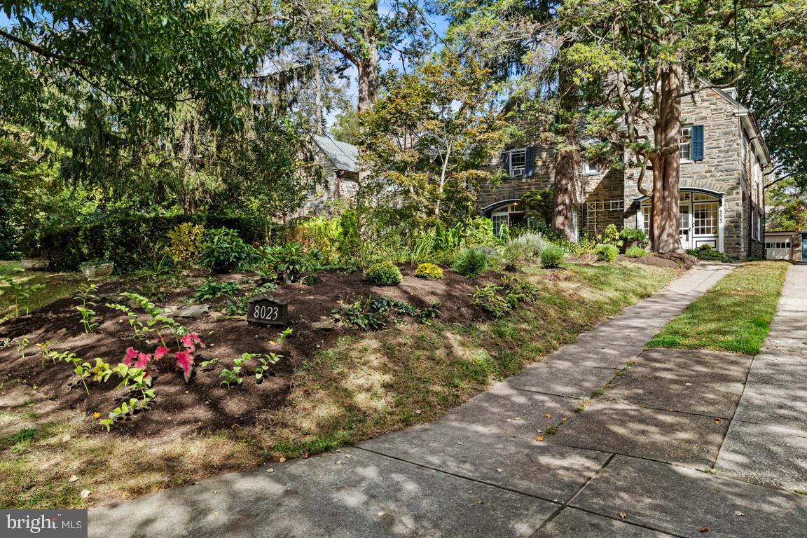 8023 Seminole Street Philadelphia, PA 19118 - Photo 2 of 42 a view of a large yard with plants and large trees