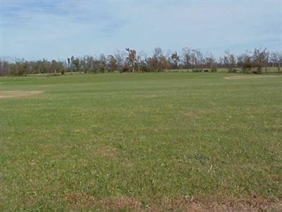 6257 Briar Hill Road Paris, KY 40361 - Photo 2 of 21 farm used now as sod farm (bluegrass) an