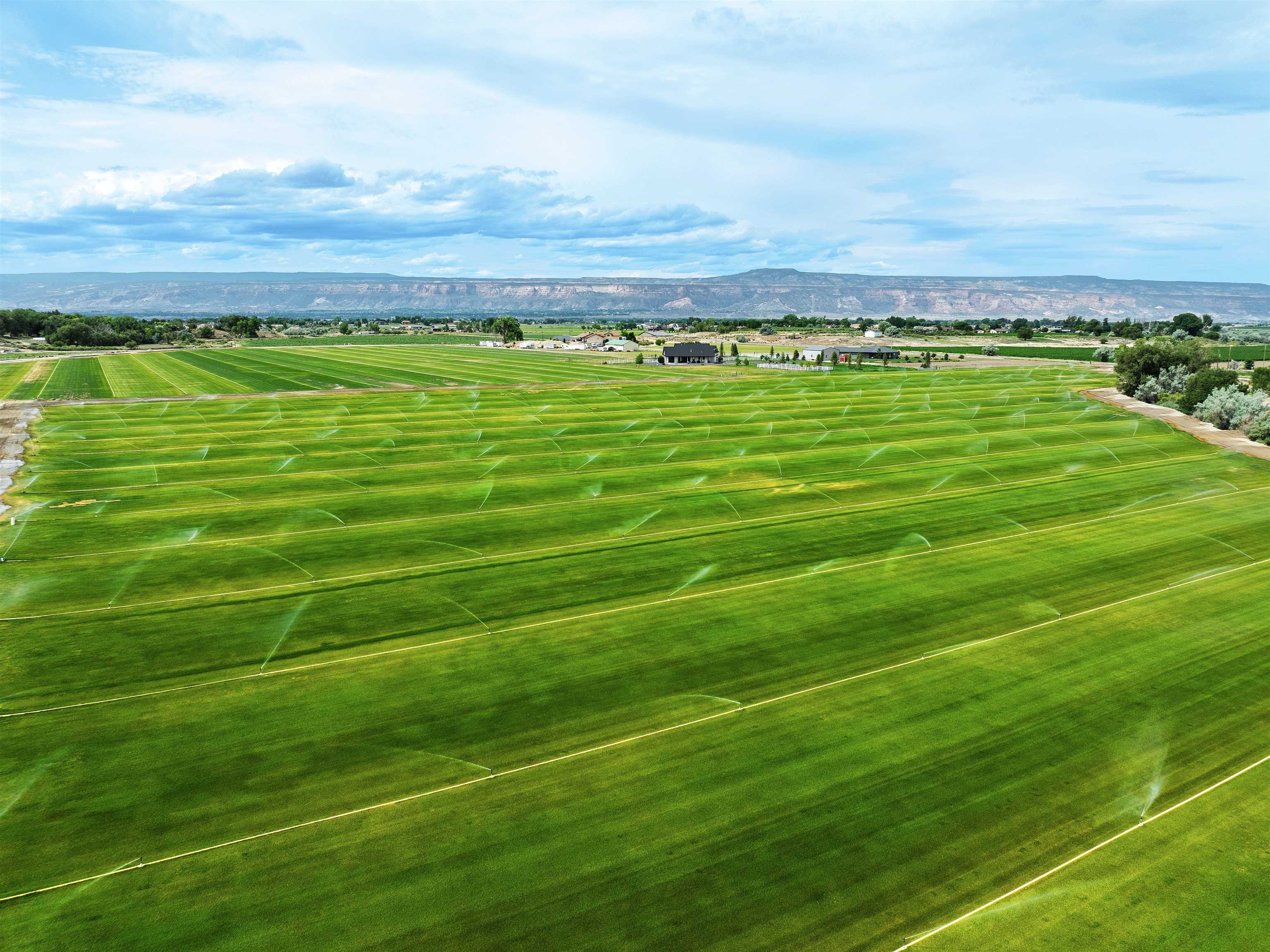 1161 23 Road Grand Junction, CO 81505 - Photo 5 of 35 a view of a field with an ocean