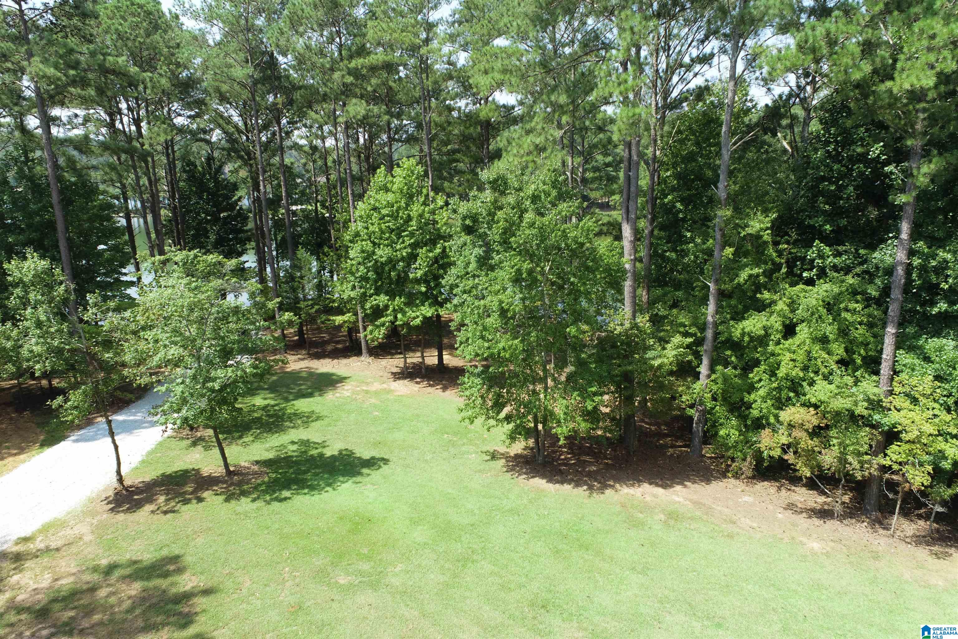 0 Wylie Road Wedowee, AL 36278 - Photo 2 of 10