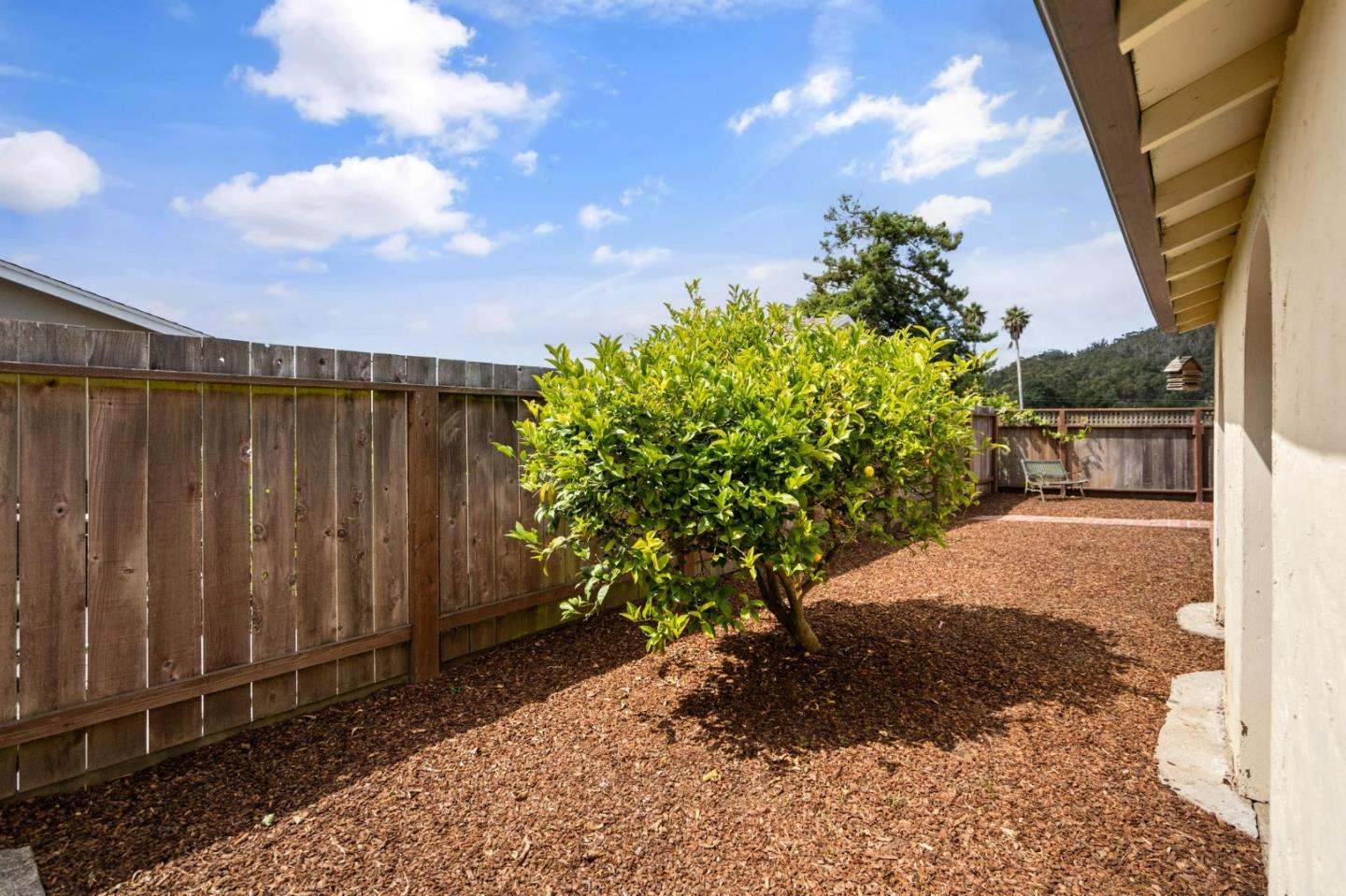 1127 Palou Drive Pacifica, CA 94044 - Photo 25 of 25 a view of a pathway with a yard