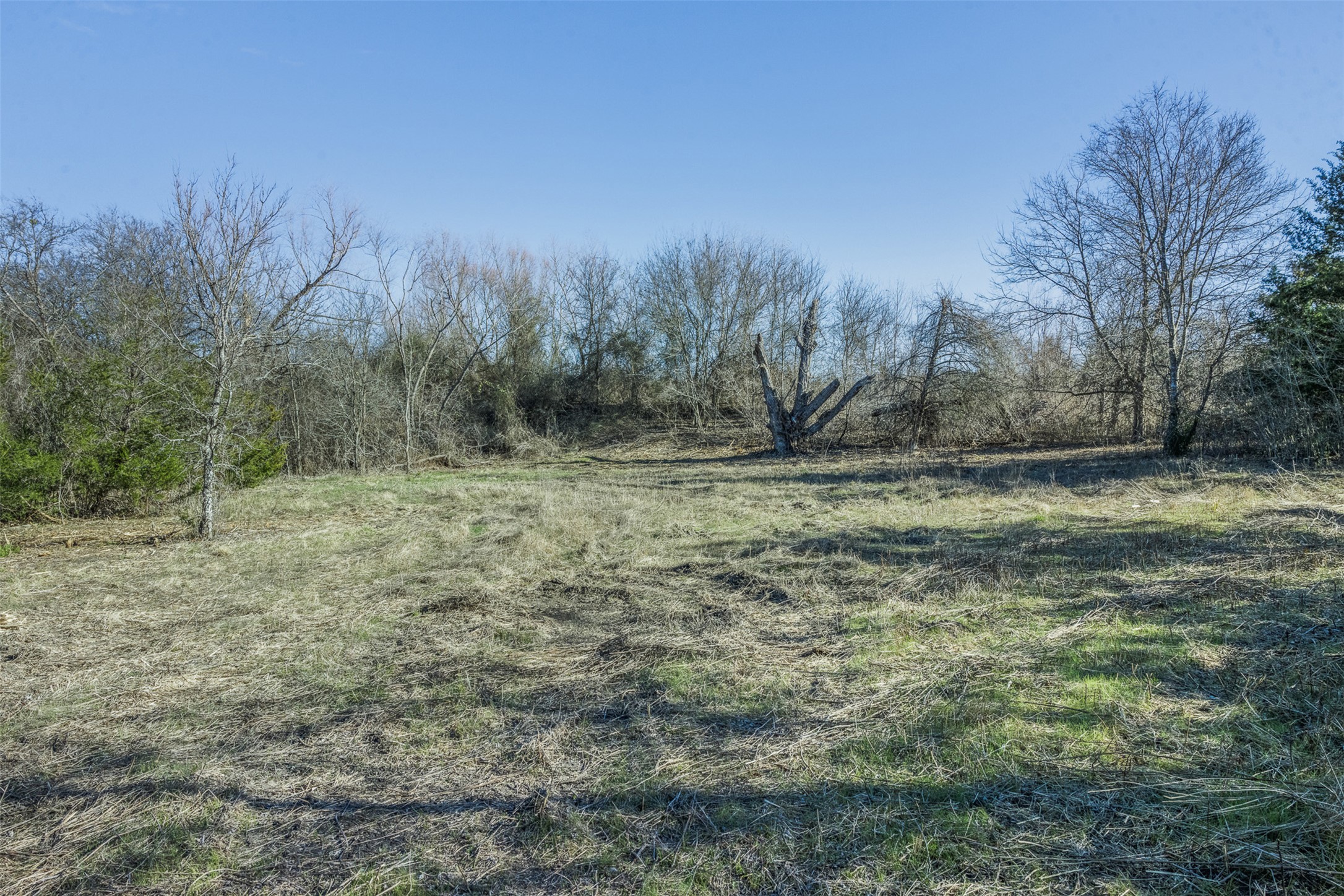 4 County Road 386 Groesbeck, TX 76642 - Photo 12 of 19