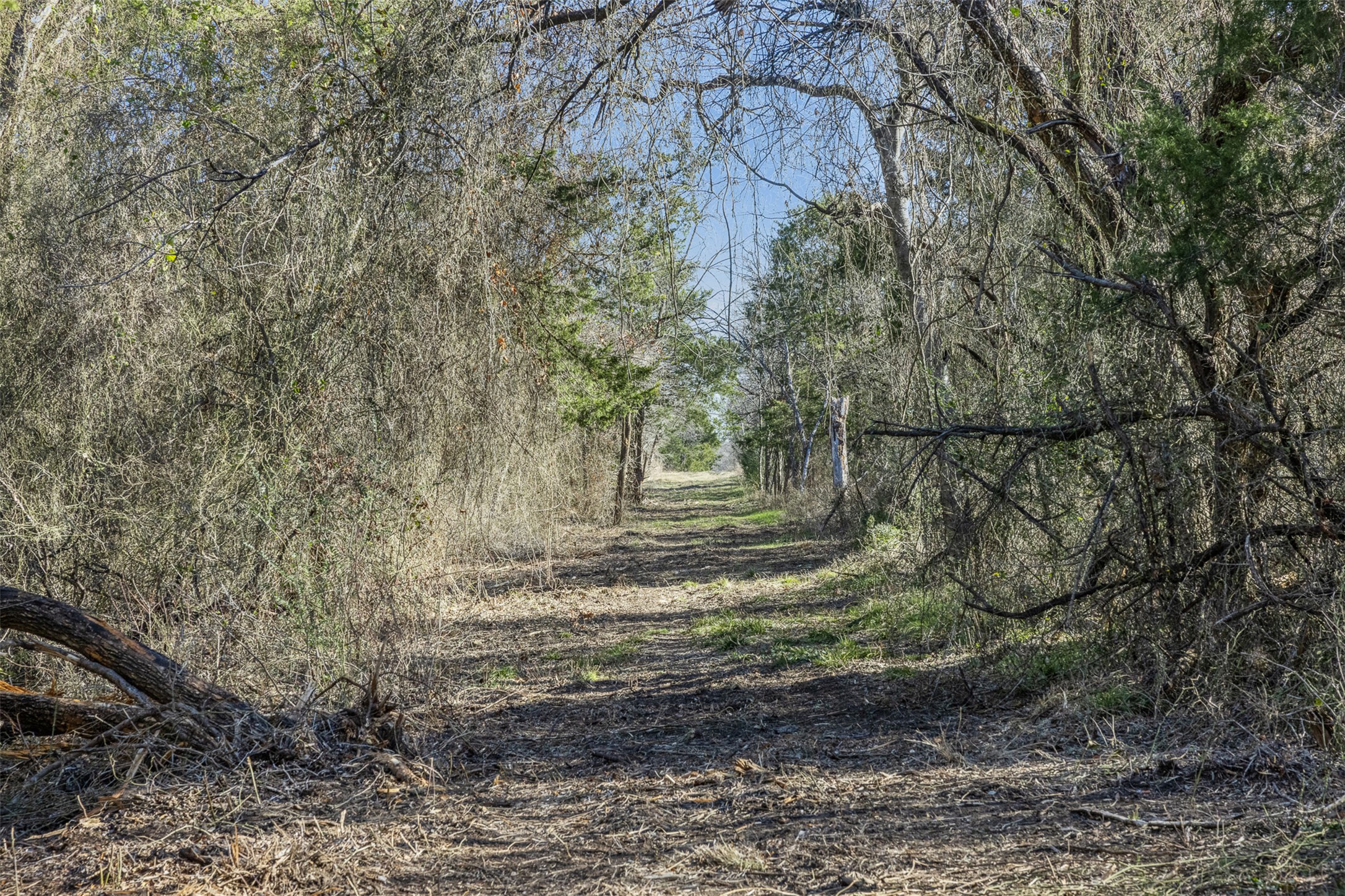 4 County Road 386 Groesbeck, TX 76642 - Photo 13 of 19