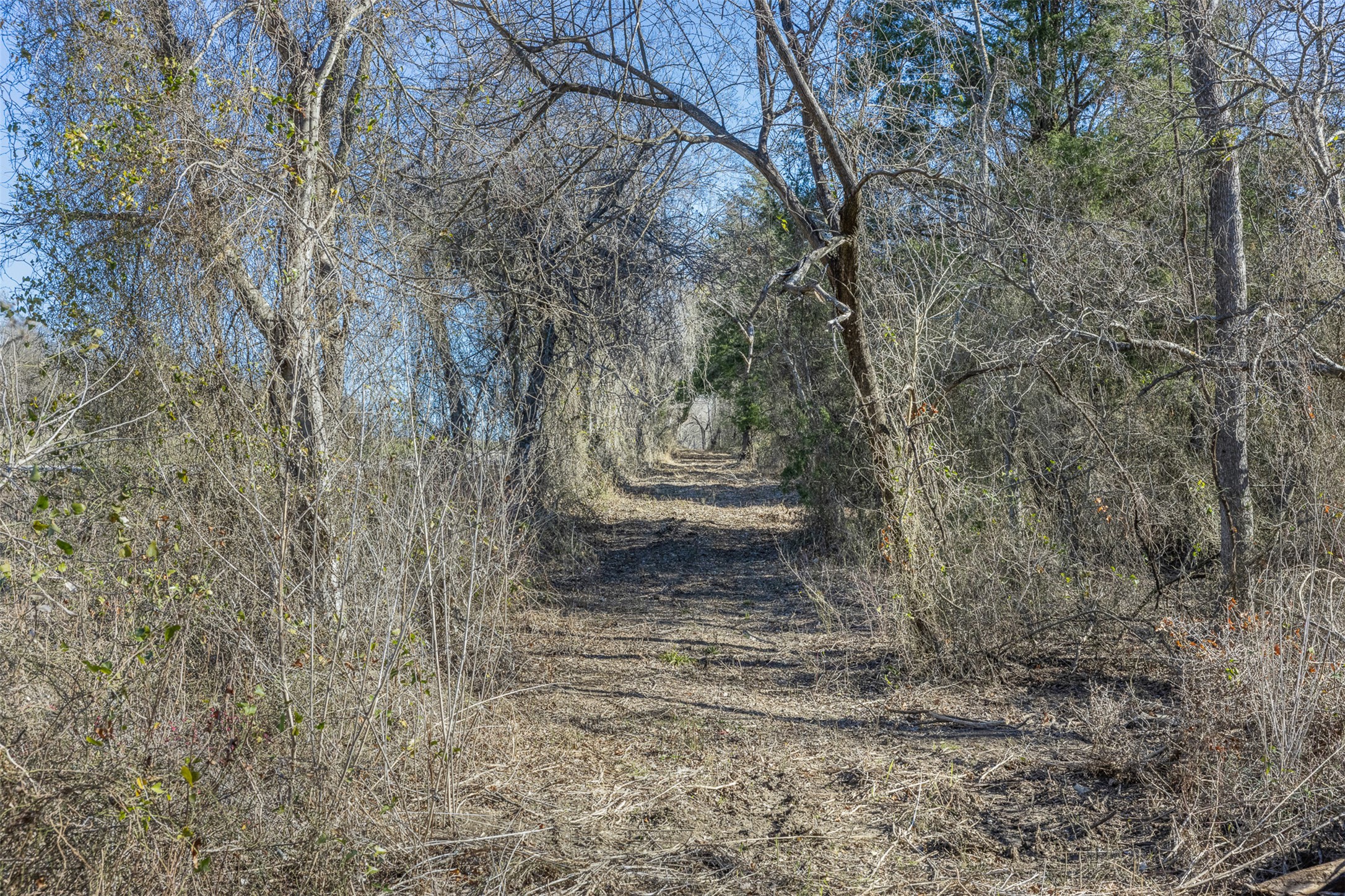 4 County Road 386 Groesbeck, TX 76642 - Photo 15 of 19