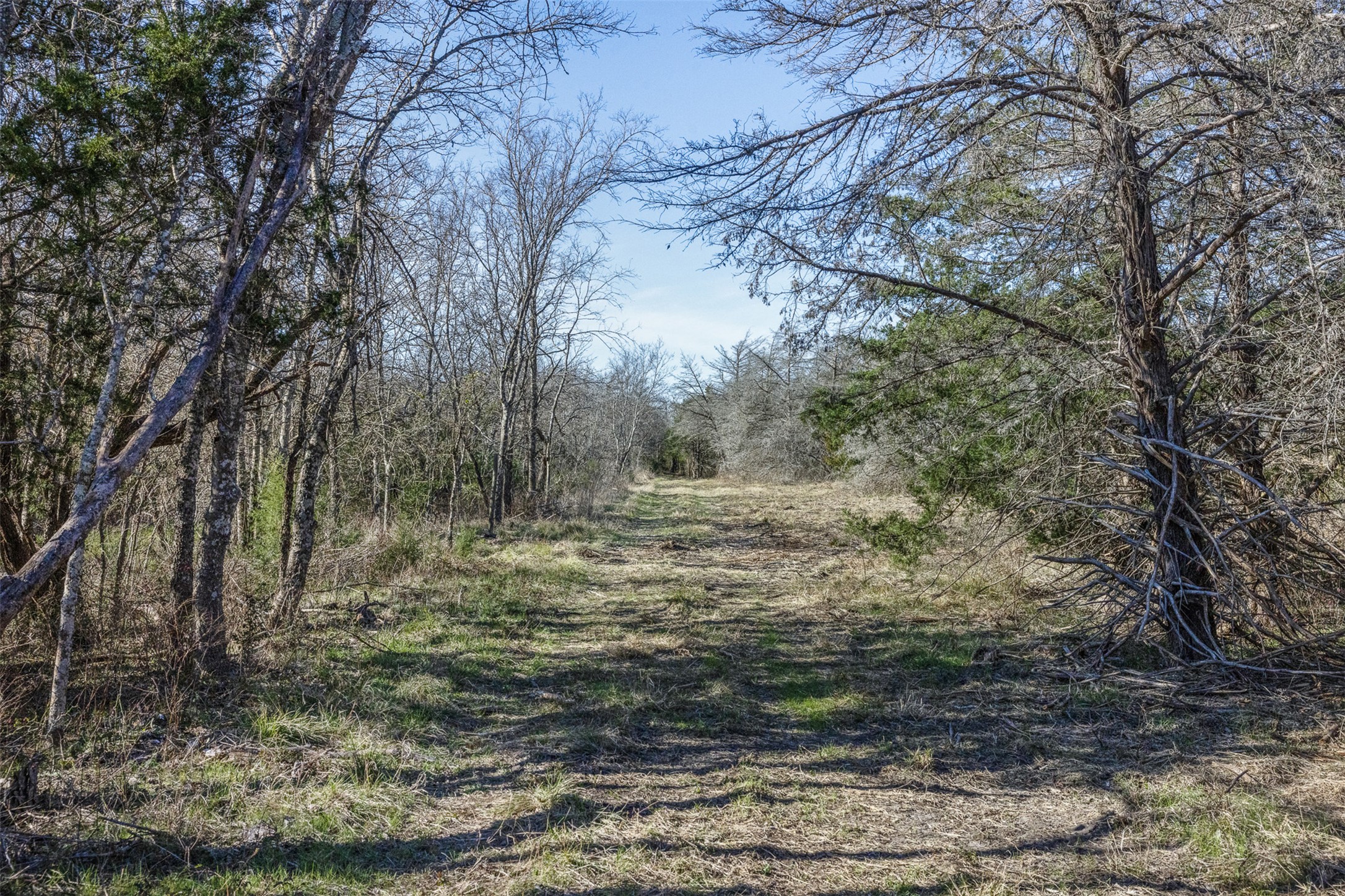 4 County Road 386 Groesbeck, TX 76642 - Photo 7 of 19