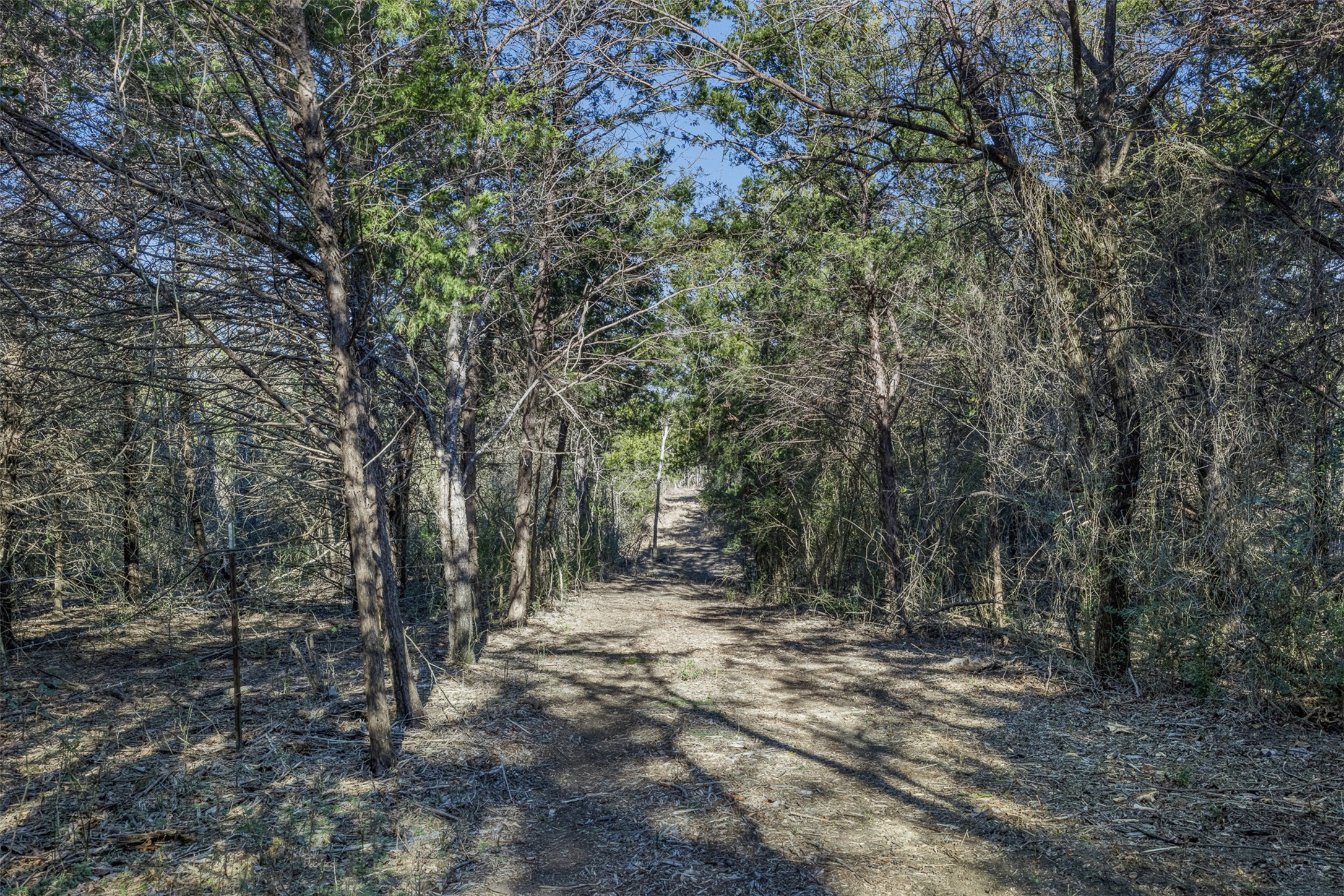 4 County Road 386 Groesbeck, TX 76642 - Photo 9 of 19