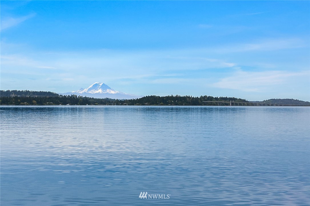 6669 Northeast Windermere Road Seattle, WA 98115 - Photo 3 of 36 a view of a lake with houses in the background