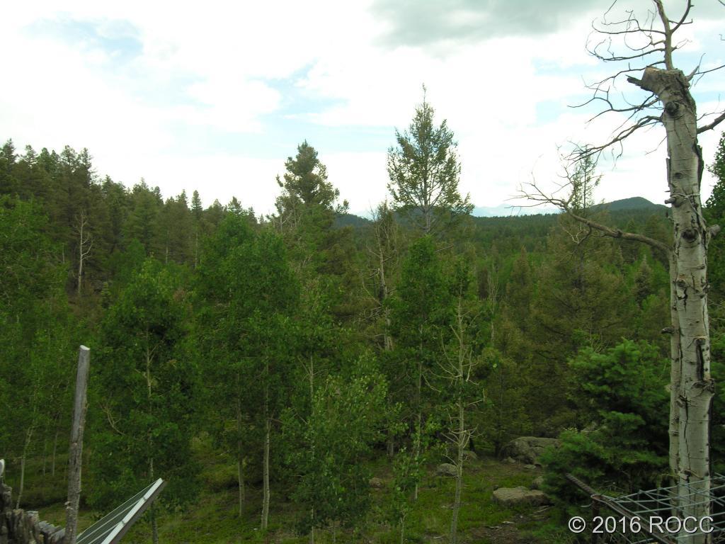 880 Burno Mountain Road Cotopaxi, CO 81223 - Photo 16 of 19 a view of a lush green forest with a tree