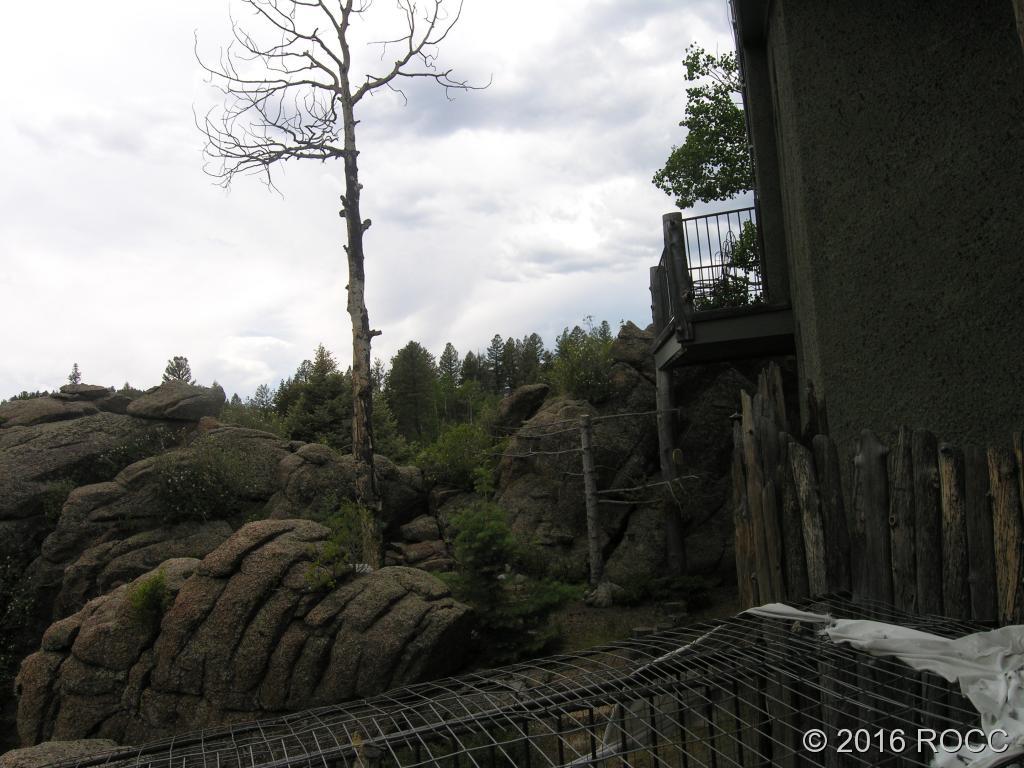 880 Burno Mountain Road Cotopaxi, CO 81223 - Photo 18 of 19 a view of a yard