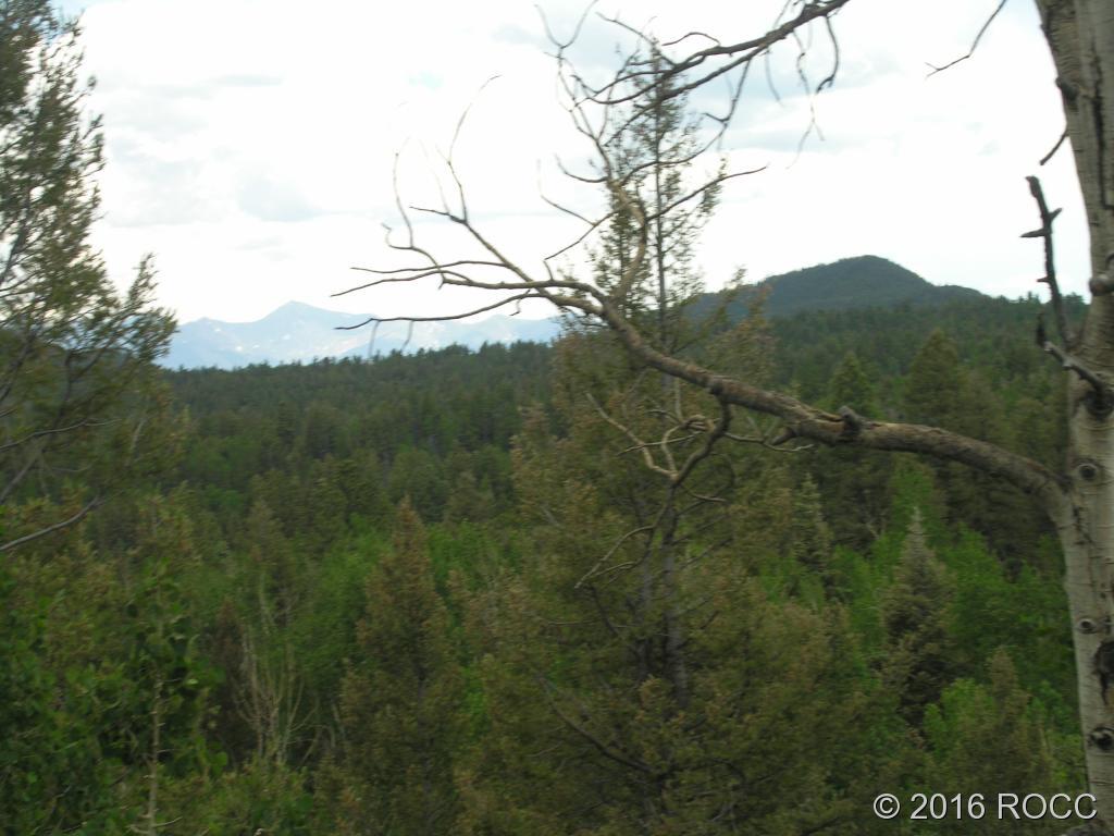 880 Burno Mountain Road Cotopaxi, CO 81223 - Photo 19 of 19 a view of a forest with a mountain