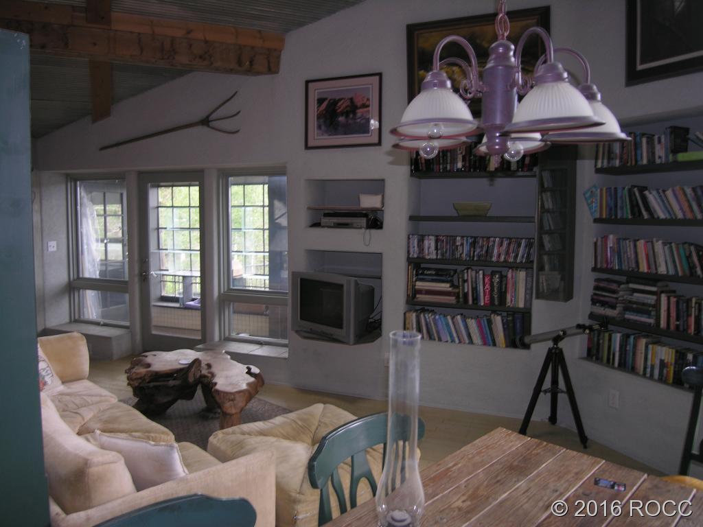 880 Burno Mountain Road Cotopaxi, CO 81223 - Photo 2 of 19 a living room with furniture and a fireplace