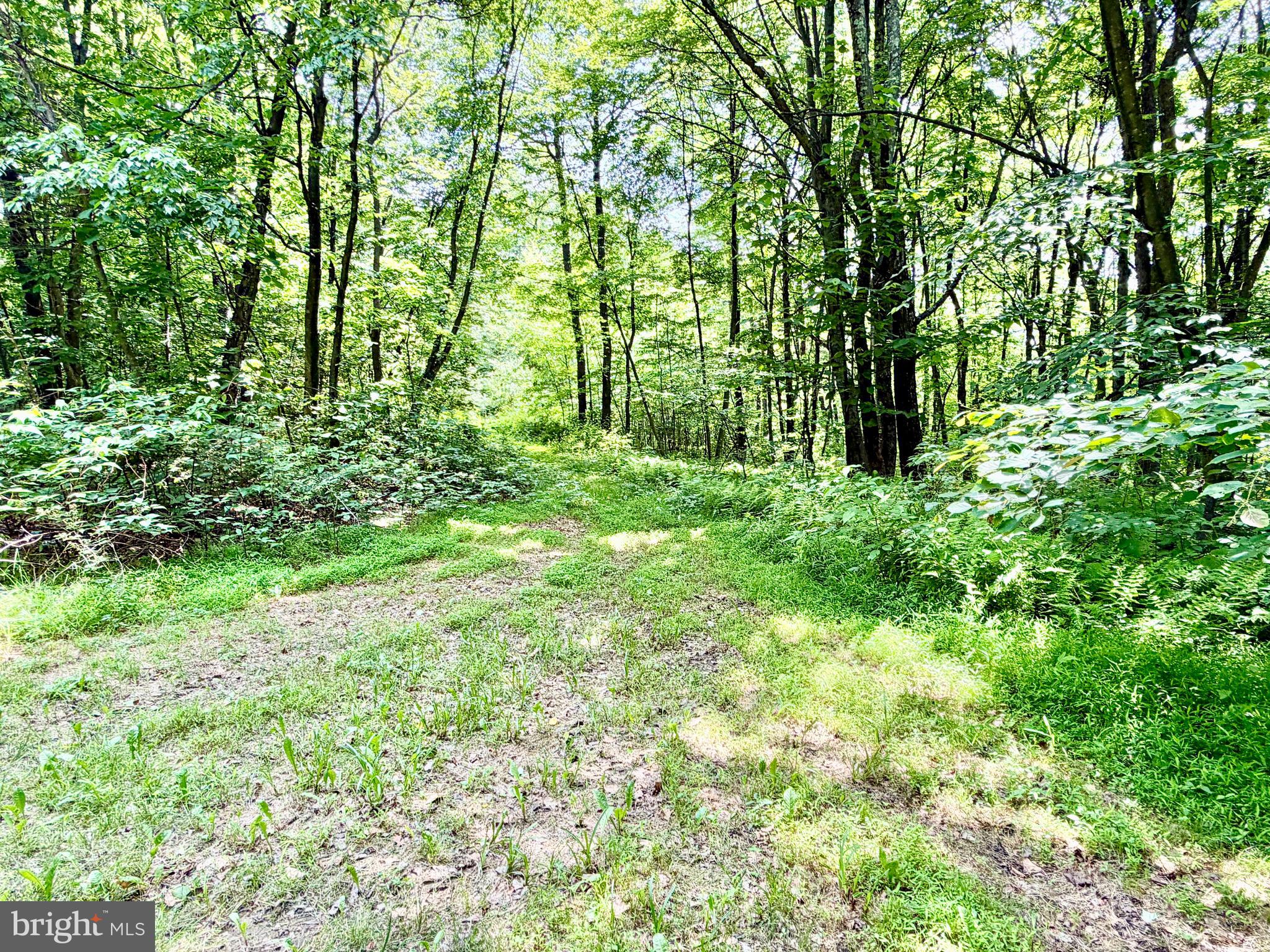 190 Thunder Rock Road Crystal Spring, PA 15536 - Photo 25 of 27