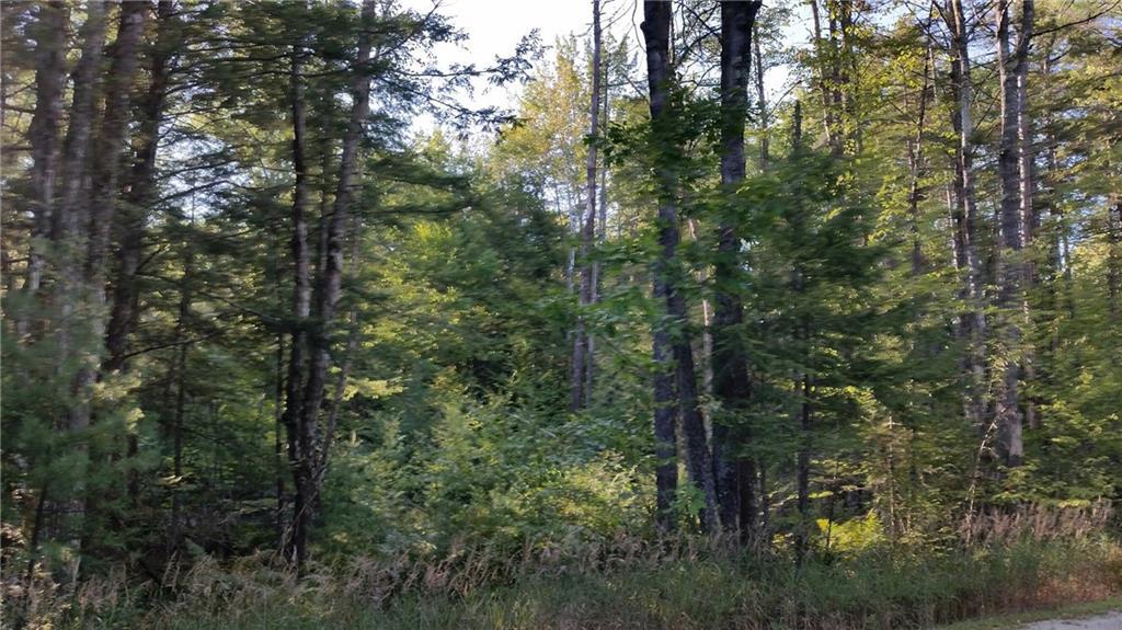 0 Old Sumner Road Buckfield, ME 04220 - Photo 2 of 2 Photo