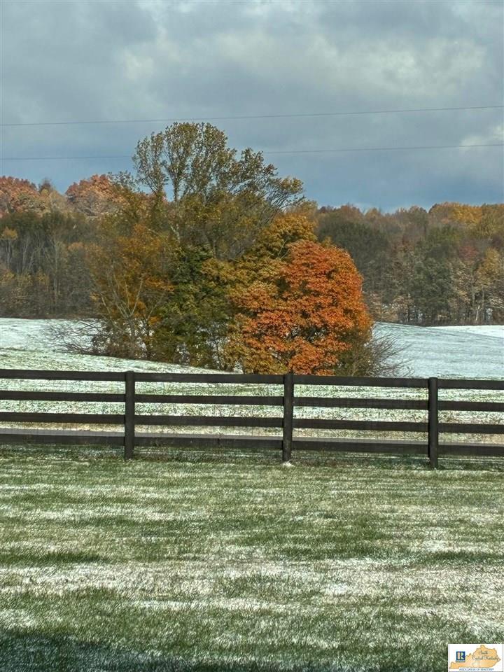 3177 Randolph Goodluck Road Summer Shade, KY 42166 - Photo 48 of 49 Gallery Image 48