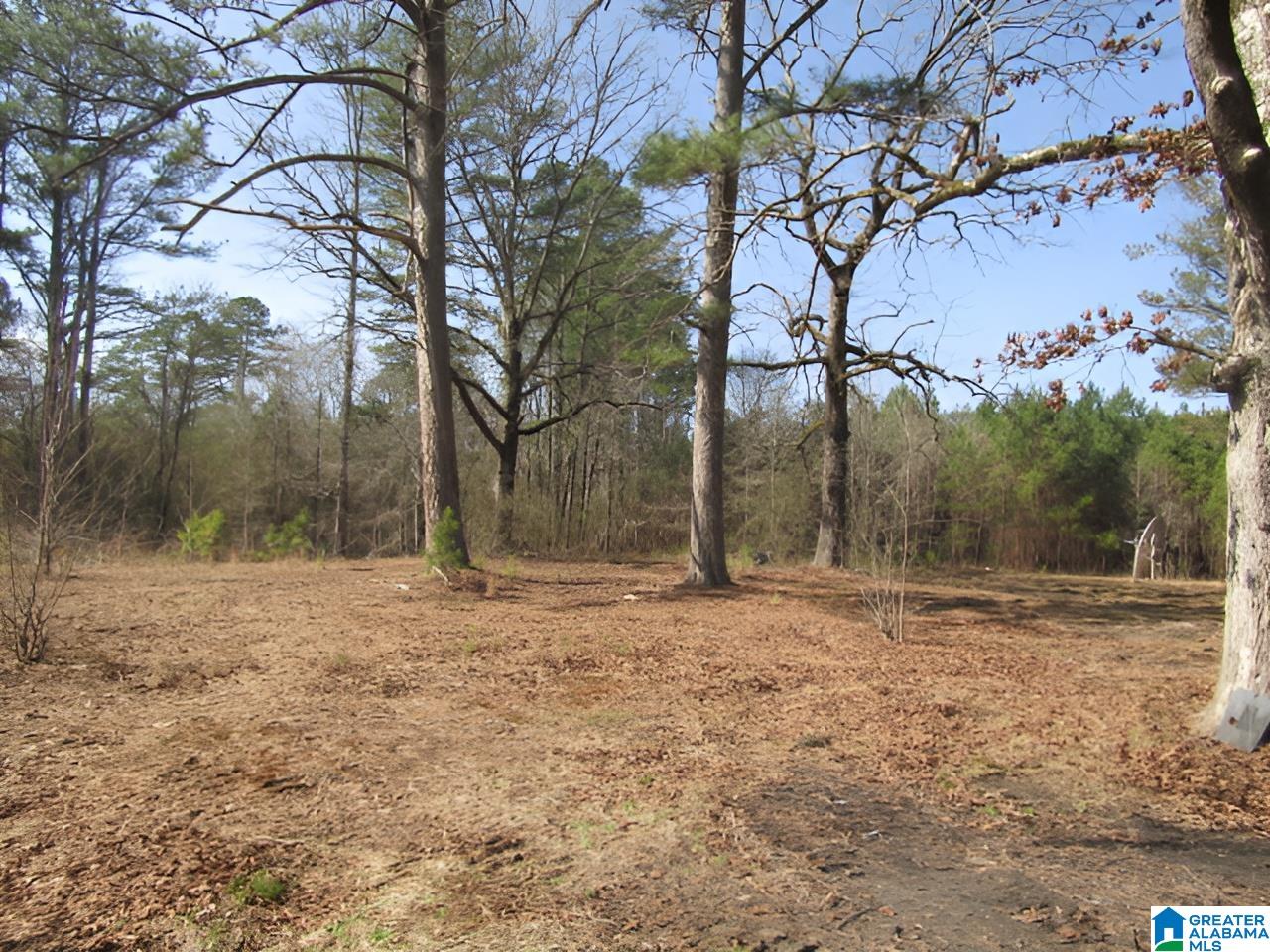 4429 Roy Webb Road Jacksonville, AL 36265 - Photo 26 of 26