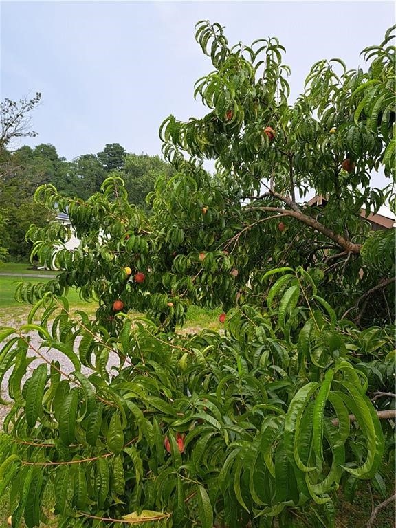 1153 Wyoming Road Covington, NY 14591 - Photo 35 of 36