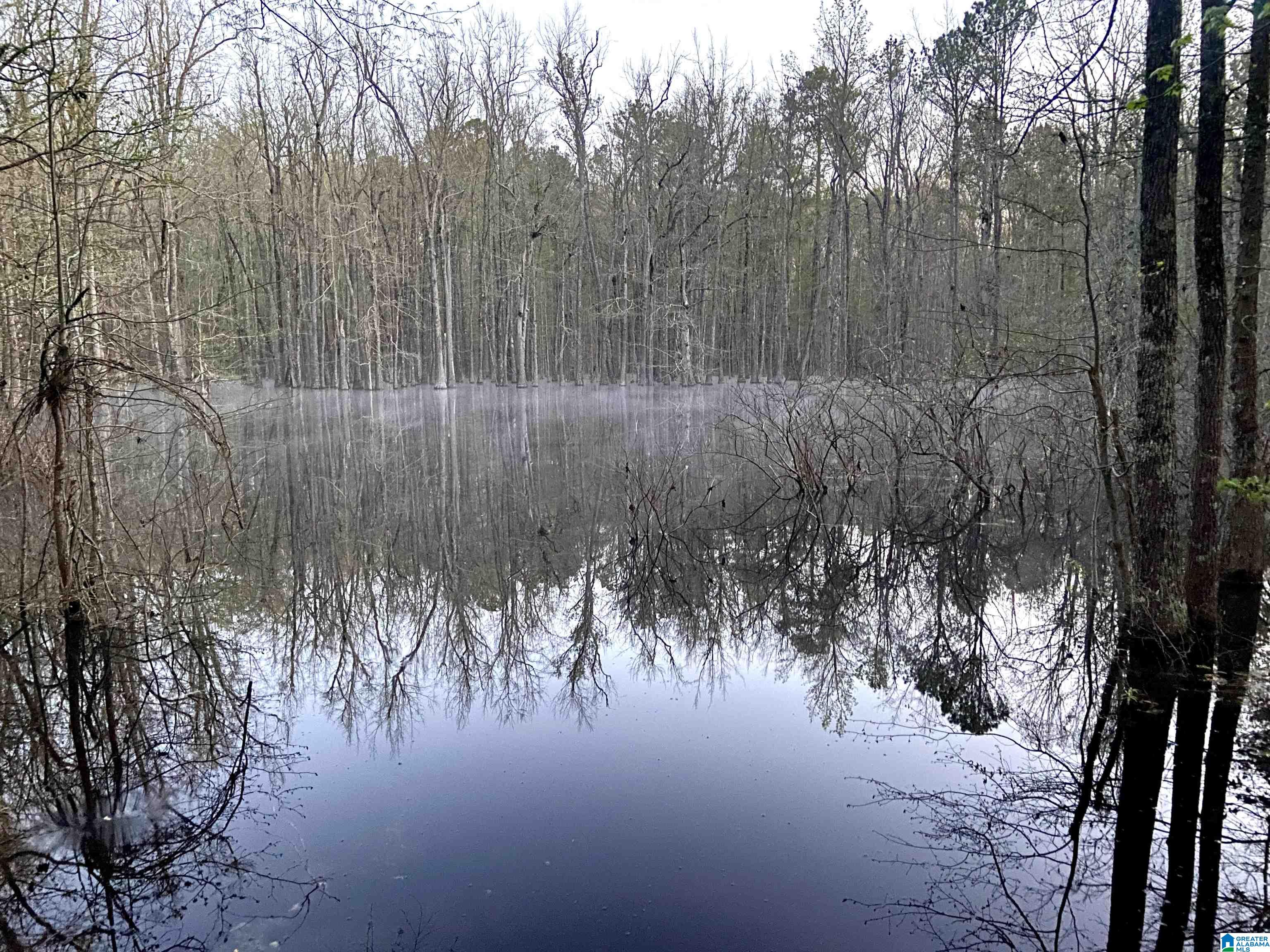 1624 Fleming Road Vincent, AL 35178 - Photo 45 of 54