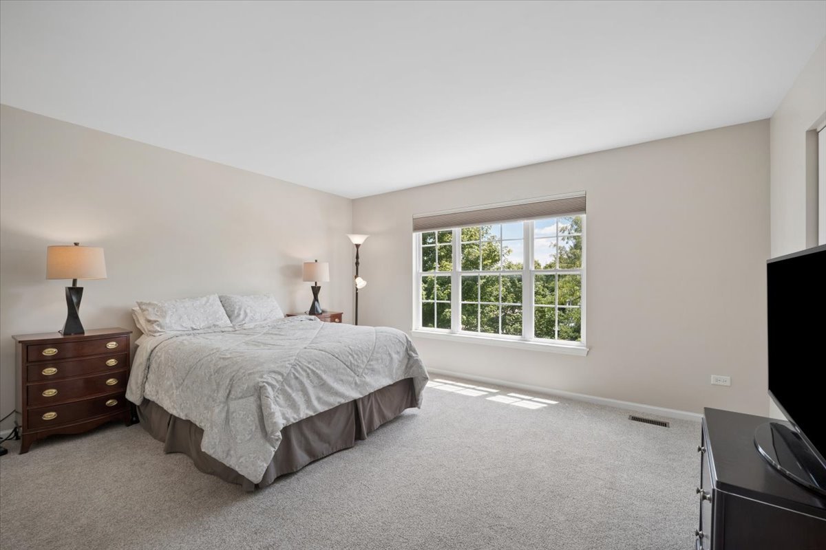 294 Larsdotter Lane Geneva, IL 60134 - Photo 14 of 28