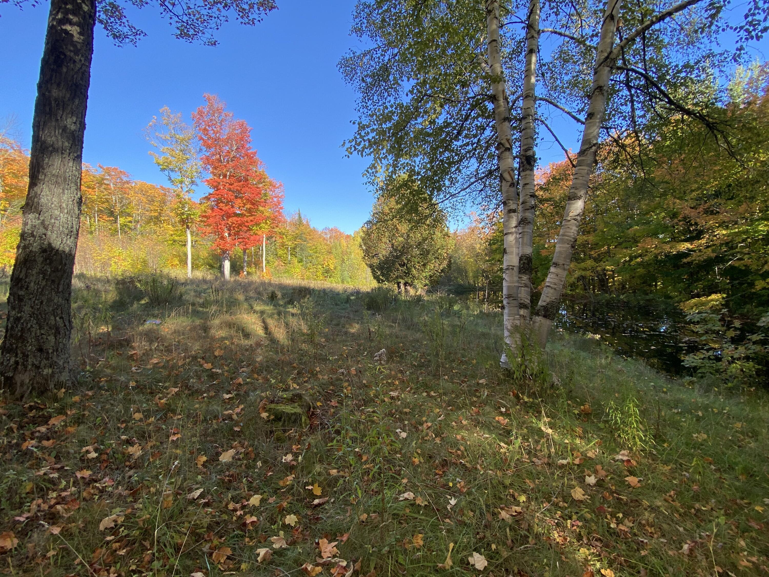 44 Sugartree Road Madawaska, ME 04773 - Photo 17 of 90 IMG_7523