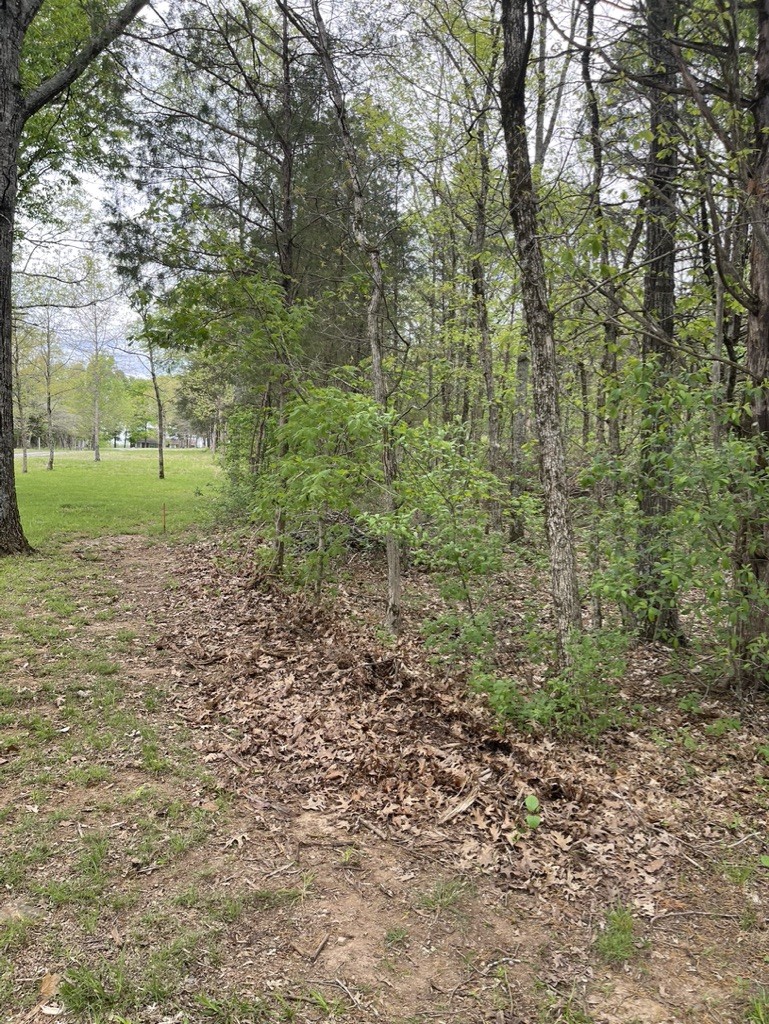 0 Hopkins Bridge Road Unionville, TN 37180 - Photo 11 of 25 Gallery Image 11