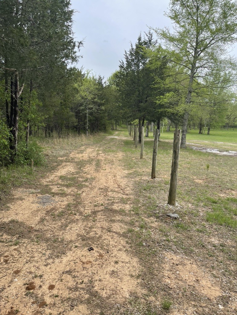 0 Hopkins Bridge Road Unionville, TN 37180 - Photo 12 of 25 Gallery Image 12