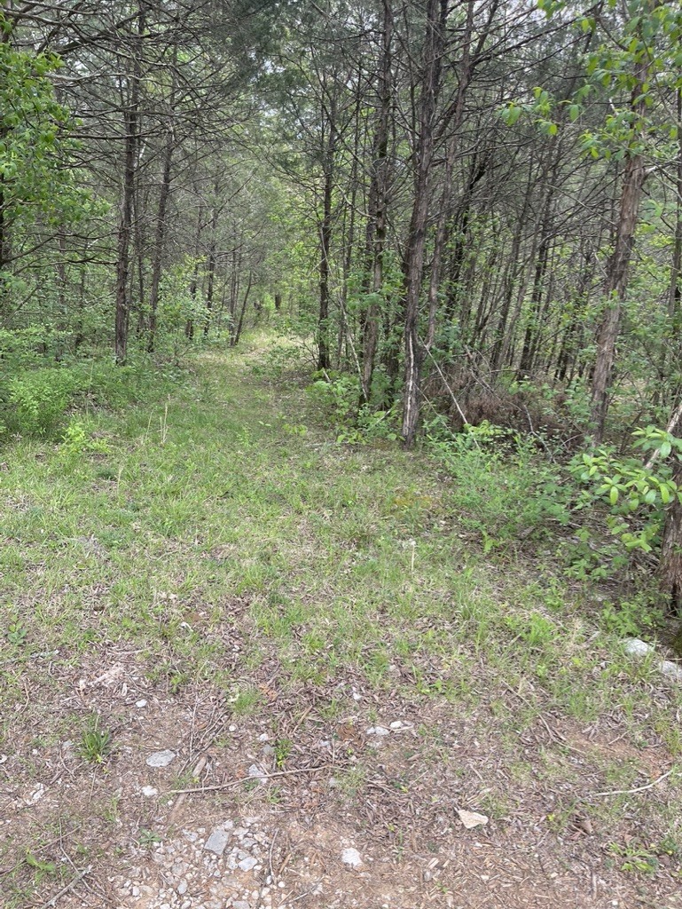 0 Hopkins Bridge Road Unionville, TN 37180 - Photo 13 of 25 Gallery Image 13